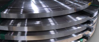 Quote on Coil