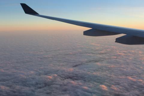 Wing Materials